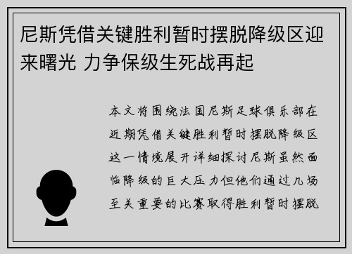 尼斯凭借关键胜利暂时摆脱降级区迎来曙光 力争保级生死战再起