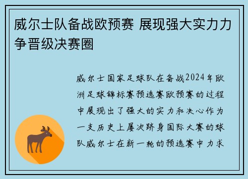 威尔士队备战欧预赛 展现强大实力力争晋级决赛圈